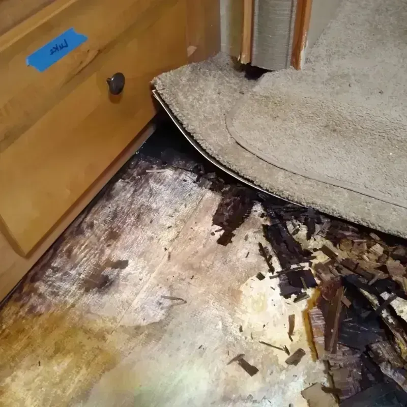 Wood Floor Water Damage in Acworth, GA